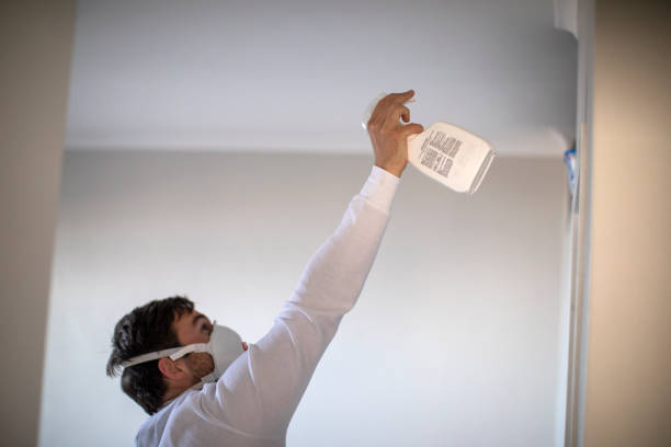 Office Mold Removal Services in Mcleansville, NC