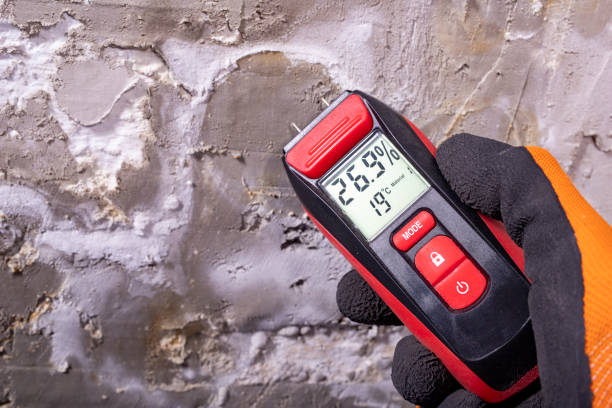 Best Mold Removal and Inspection  in Mcleansville, NC