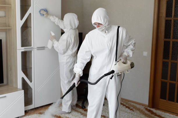 Home Mold Removal in Mcleansville, NC