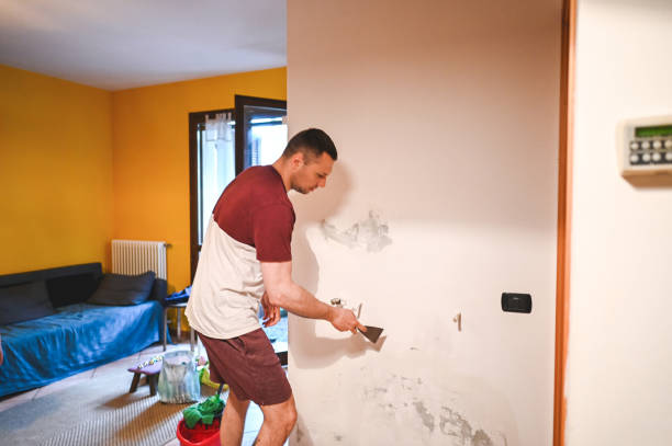 Trusted Mcleansville, NC Mold Removal Experts